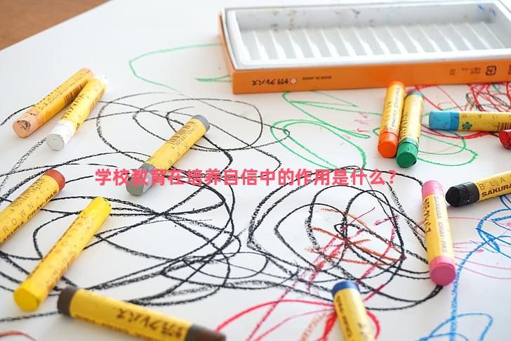 学校教育在培养自信中的作用是什么？