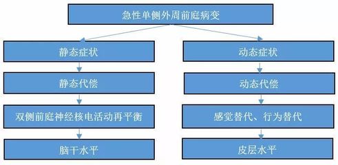 代偿行为的心理解释