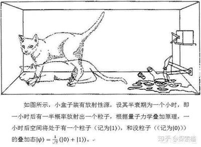 薛定谔的猫是比喻什么