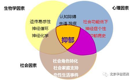 社会人的性格特点