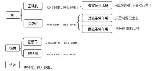 什么叫负强化