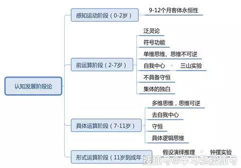 皮亚杰理论具体运算阶段特点