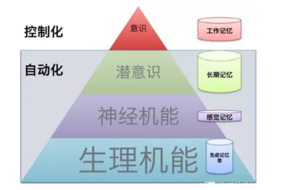 心理学四种意识状态