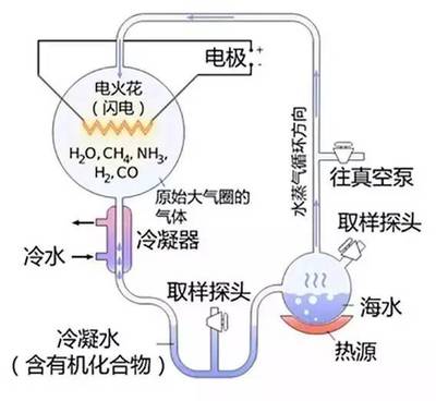 米勒实验的假设和结论