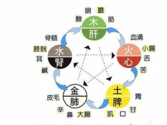 数字能量学4号人的性格