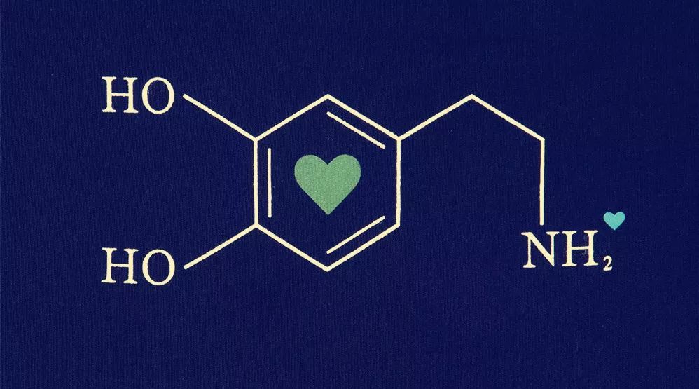 新鲜感是多巴胺造成的