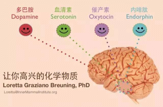 血清素与恋爱幸福感关联