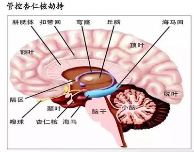 天生抑郁症的人怎么办