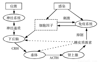 一朝被蛇咬十年怕井绳是应激吗