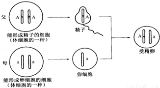 孩子问他是怎么生出来的