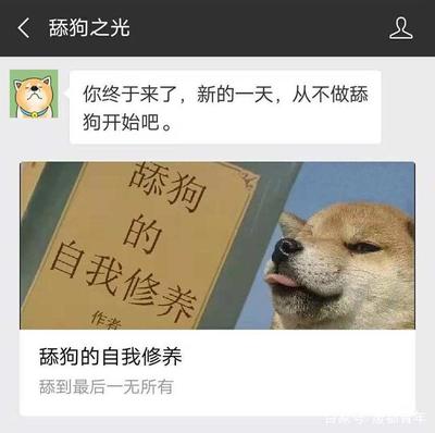 为什么把深情的人叫做舔狗