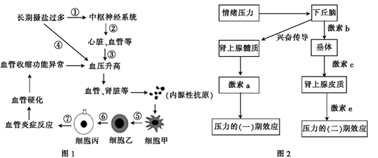 一个人说谎被拆穿会恼羞成怒吗