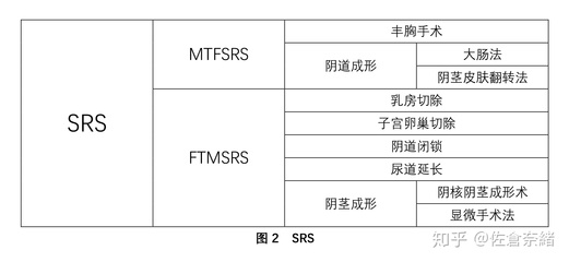 性别认同障碍和跨性别的区别