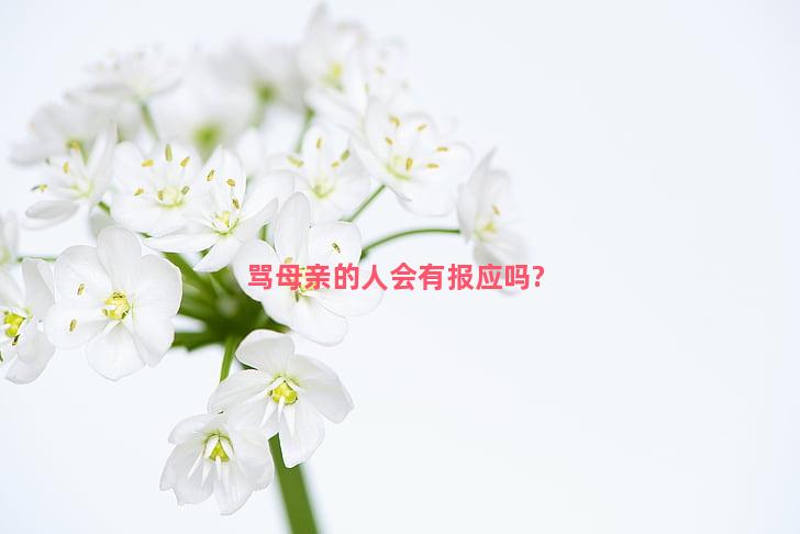 骂母亲的人会有报应吗?