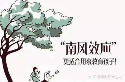 冷门的心理学效应