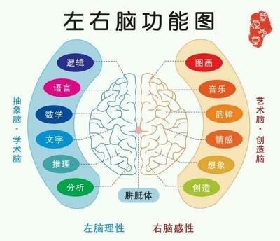 干活手脚慢是大脑问题还是手脚问题