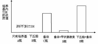 兴趣的本质包括