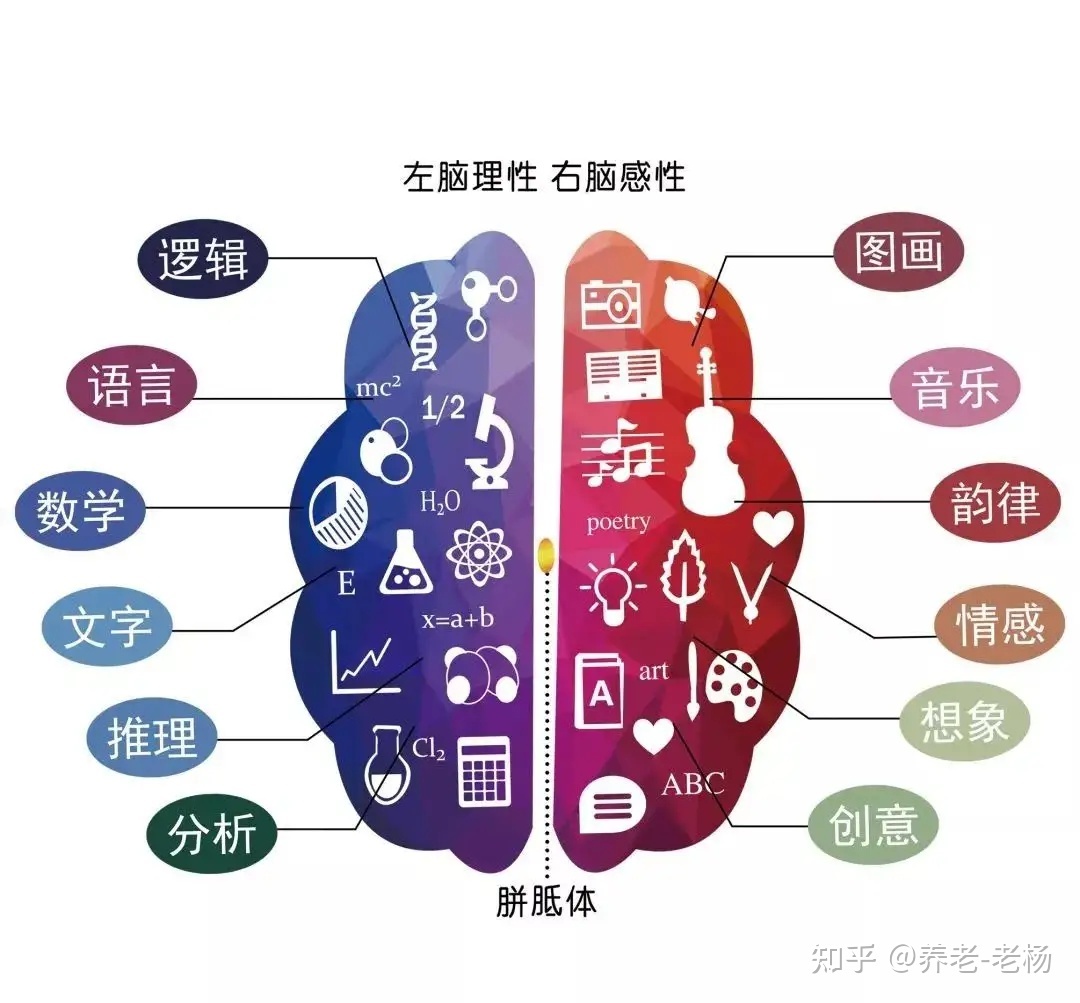 理性与感性哪个更重要