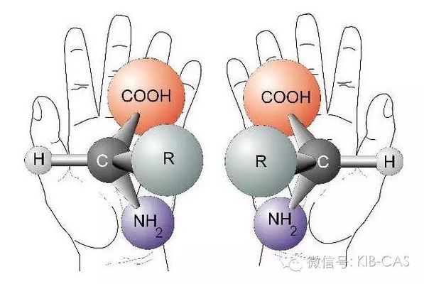 米勒实验对现代生物学的影响