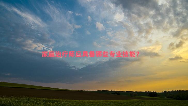 家庭治疗师应具备哪些专业技能？