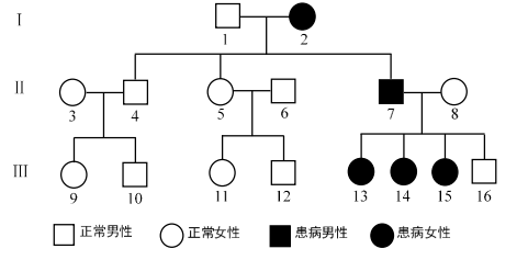 X连锁遗传病的女性患者表现