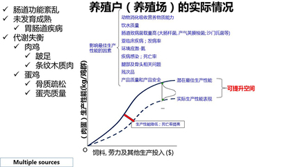 人的性取向是天生的还是后天的