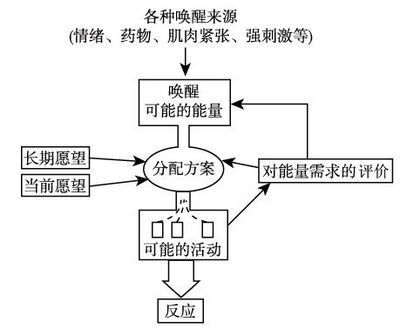 知觉选择的解释