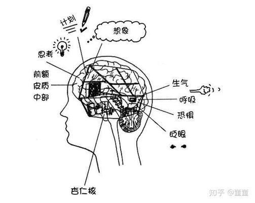 3岁小孩不顺着他就发脾气打人怎么办