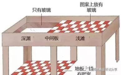 视崖实验与深度知觉的关系