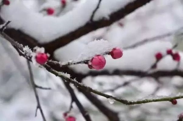 情人最礼貌的分手方式