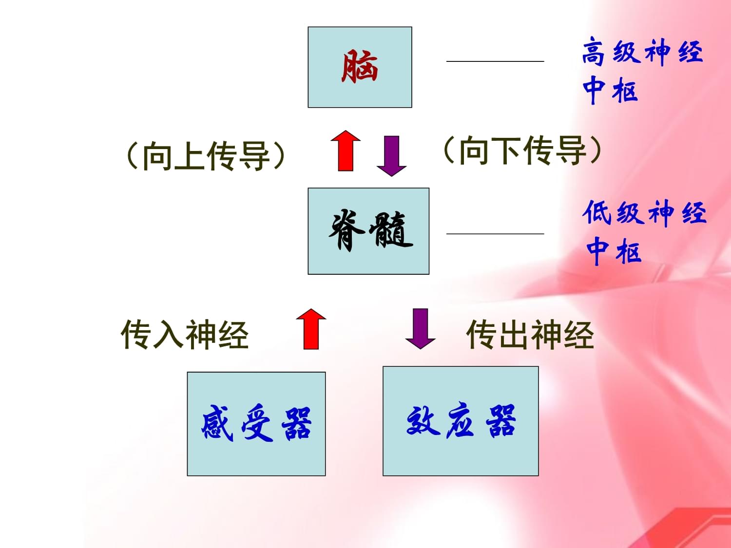 如何利用条件反射提高销售额