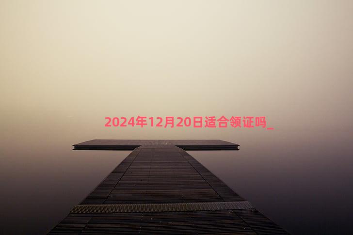 2024年12月20日适合领证吗
