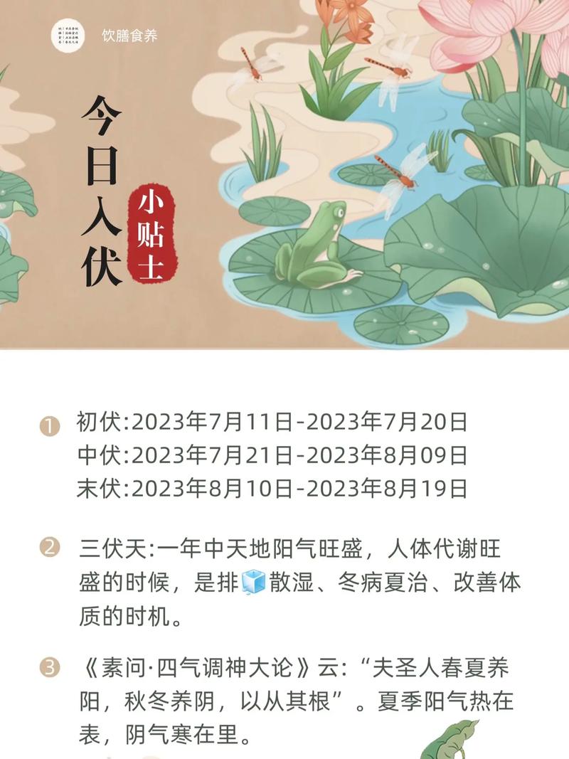 三伏天是什么意思 2024年三伏多少天?
