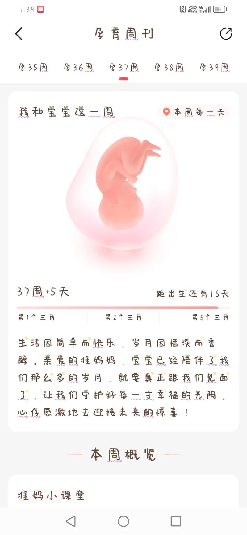 怀孕结婚有什么讲究吗 这9点是一定要注意的
