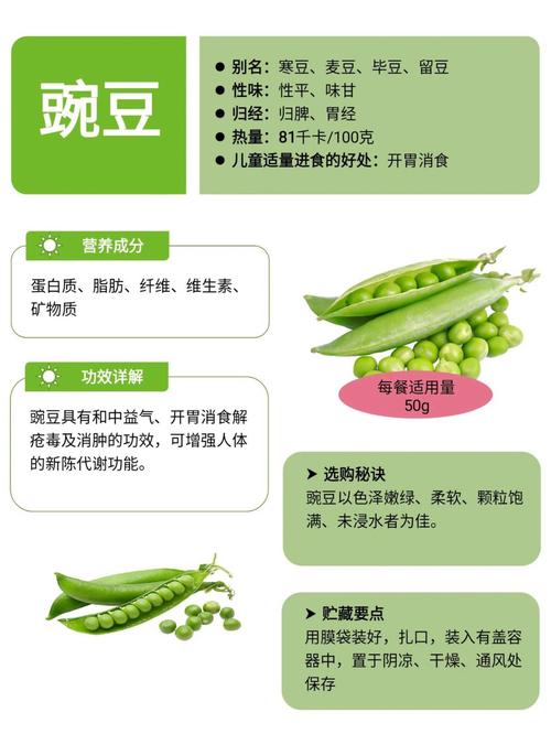 孕妇可以吃豌豆吗 哺乳期可以吃豌豆吗