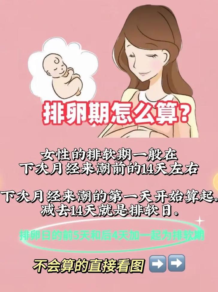 怎么判断自己是否排卵 女人不排卵是什么原因造成的