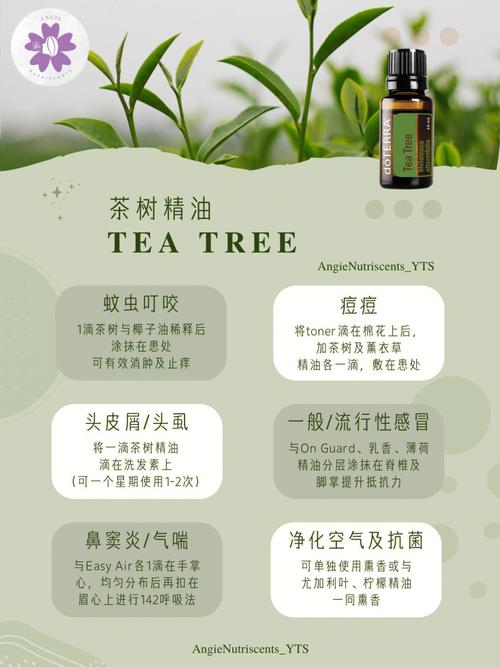 茶树精油可以天天用吗
