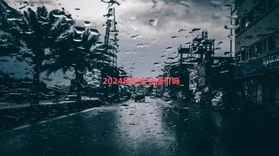 2024年铂金会涨价吗
