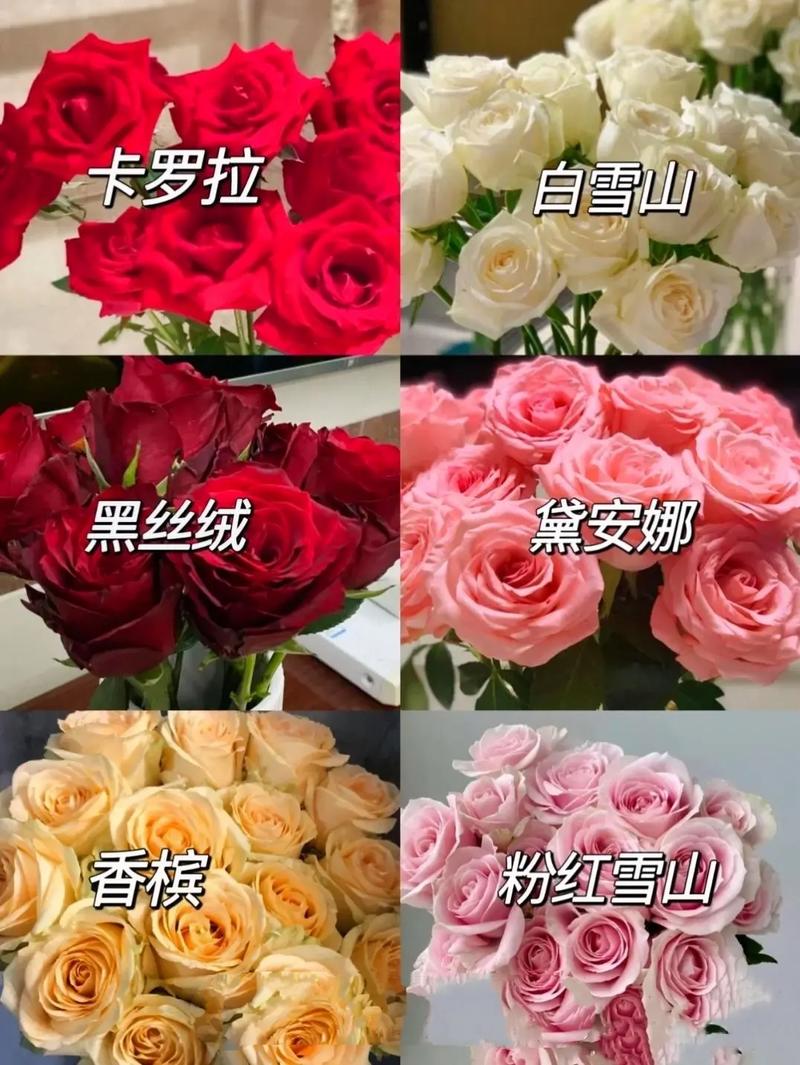 30朵玫瑰花花语是什么