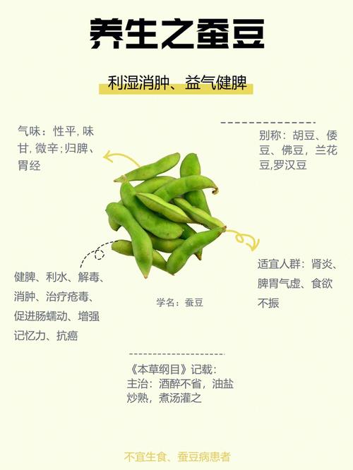 孕妇能吃蚕豆吗 孕妇吃蚕豆胎儿会溶血吗