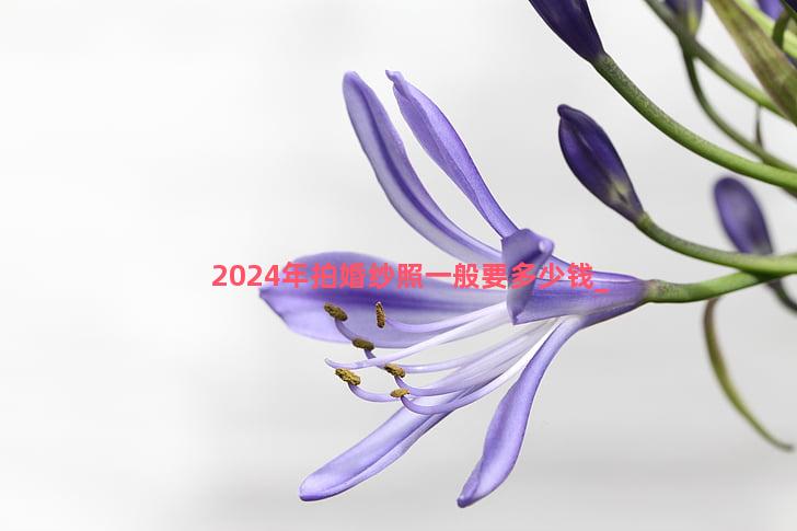 2024年拍婚纱照一般要多少钱
