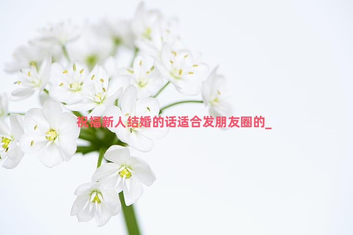 祝福新人结婚的话适合发朋友圈的
