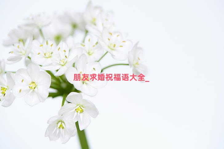 朋友求婚祝福语大全
