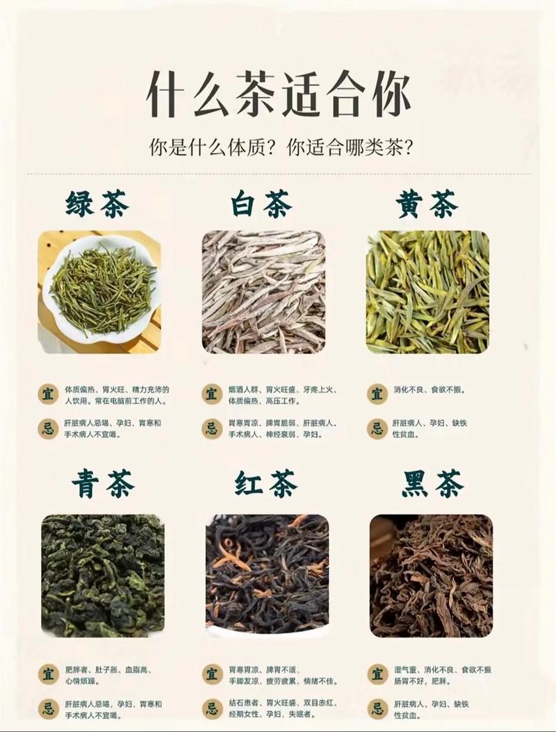 怀孕的人可以喝茶吗 怀孕喝什么茶好