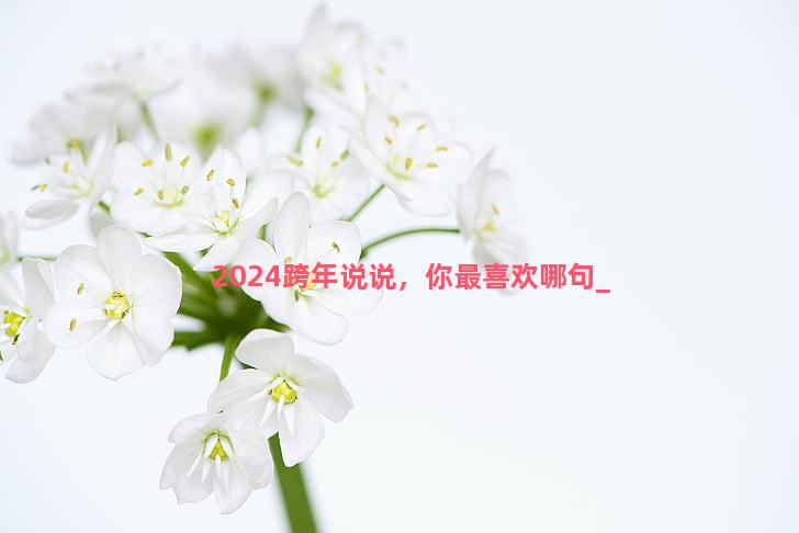 2024跨年说说，你最喜欢哪句
