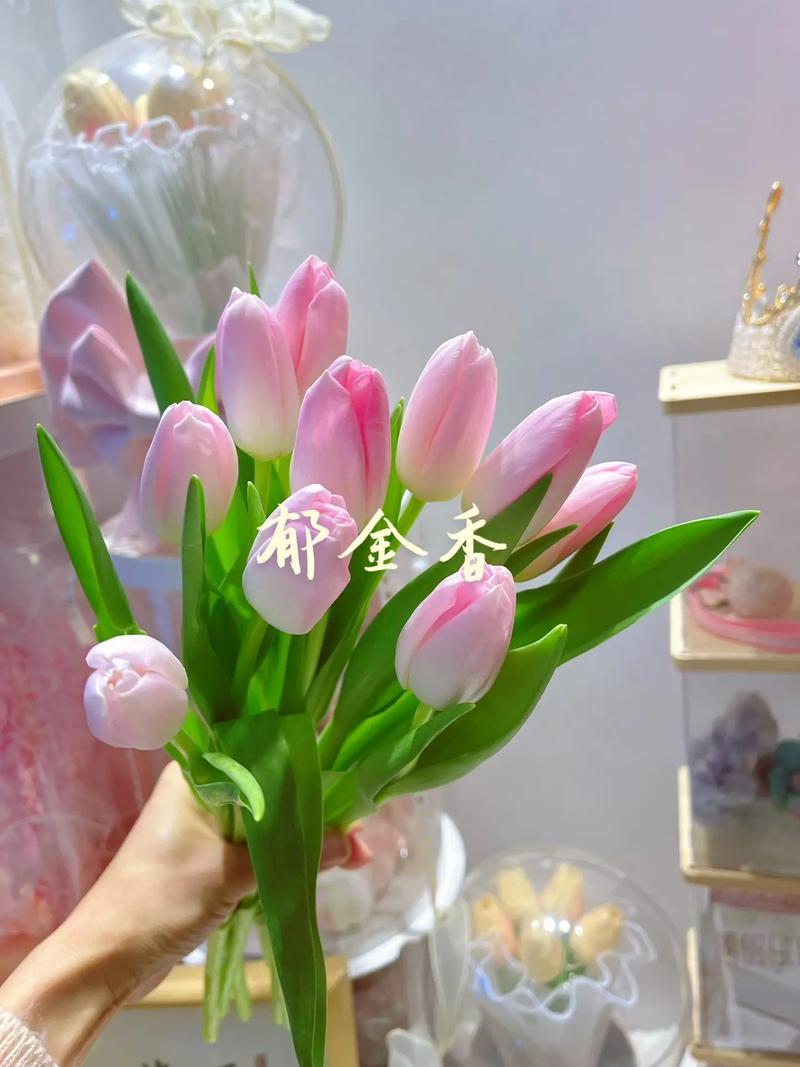 紫色郁金香花语和寓意 不同颜色的郁金香花语有哪些