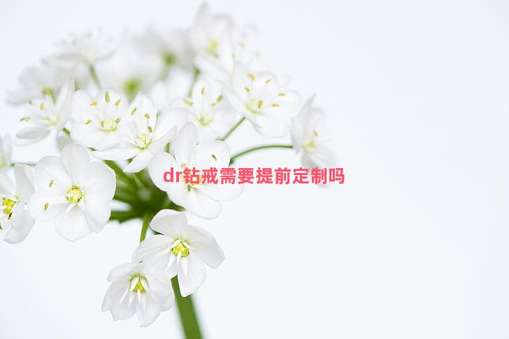 dr钻戒需要提前定制吗