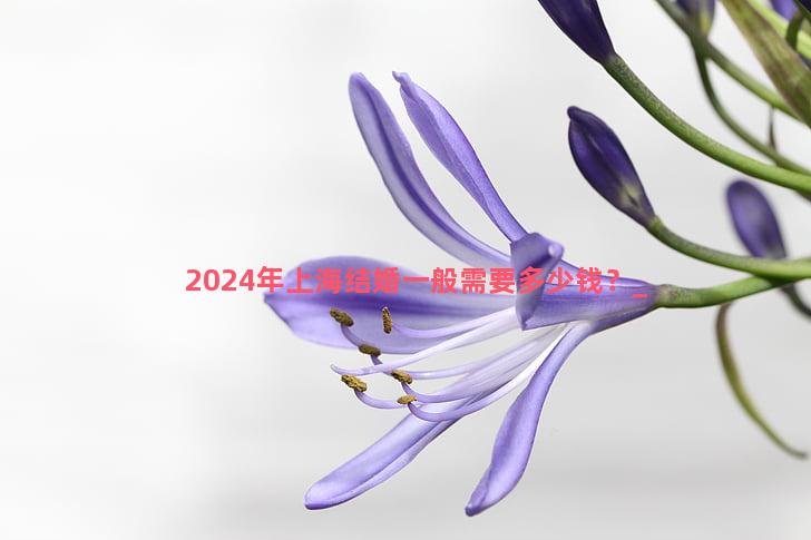 2024年上海结婚一般需要多少钱？
