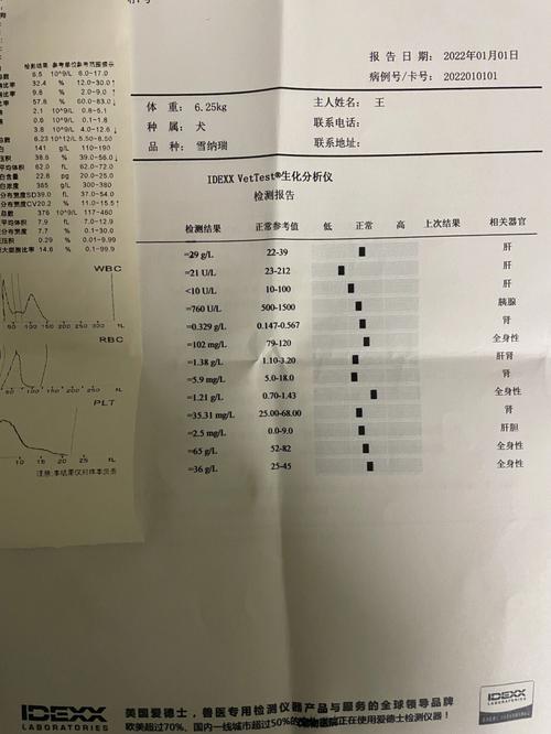 血常规能查出哪些毛病