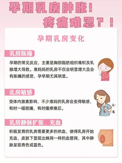 怀孕初期胸部会变大吗 怀孕期间乳房的护理